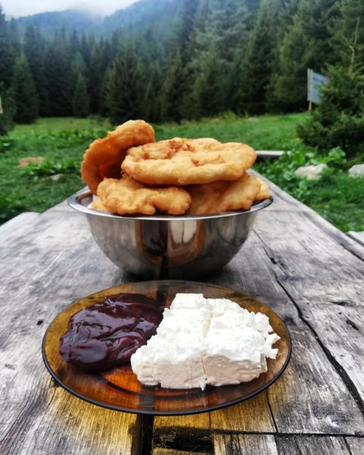 Хижа Ловна В Рила 파니치슈테 외부 사진