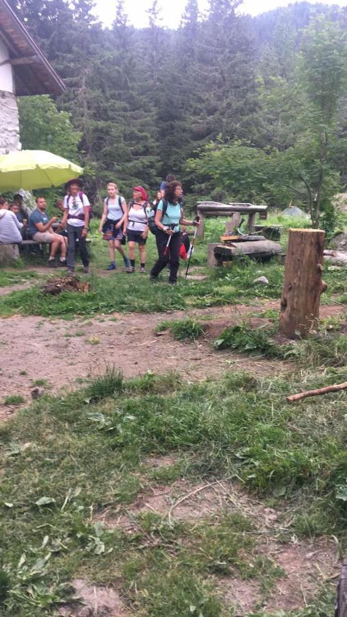 Хижа Ловна В Рила 파니치슈테 외부 사진